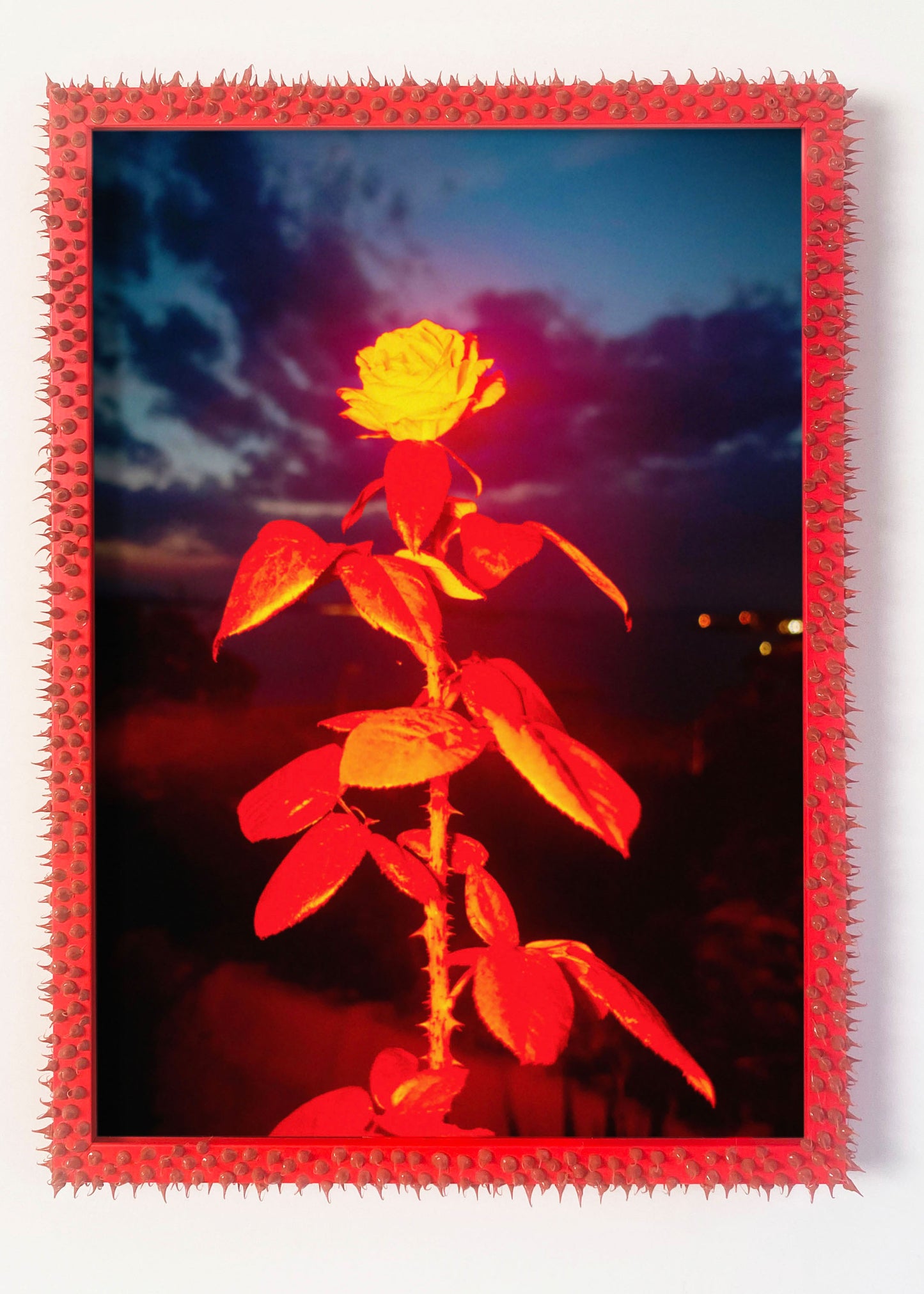 "Silent Bloom" (in Spiky Frame)